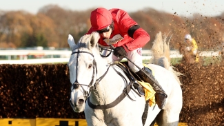 Skelton ‘really happy’ with smart prospect Grey Dawning