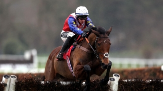 Love Envoi could go to Cheltenham after loss of Lingfield