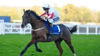 Goshen possible for Cesarewitch before new jumping campaign