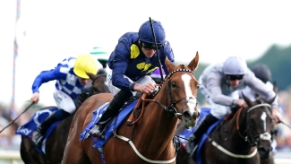 Ascot aim for Sprint Cup fourth Swingalong
