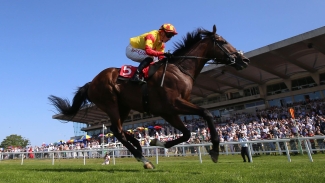 Woods eyeing York Stakes for Savvy Victory