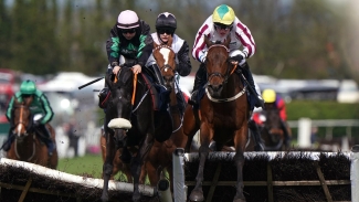 Strong Leader lifts Liverpool Hurdle honours