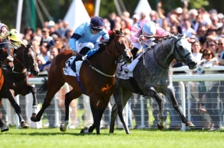 Highclere lining up dual challenge for Champions Sprint