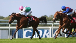 Starlore out to emulate crack sire in Solario Stakes