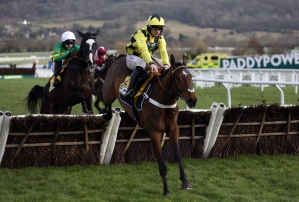 Much-improved Constitution Hill could come into Punchestown picture