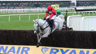 Grey Dawning sees off Ginny’s Destiny for Turners prize