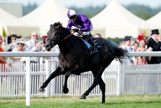 Stars set to align for Champions Day