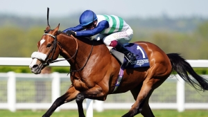 Coltrane heads 14 contenders for Gold Cup honours