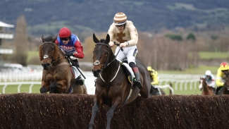 Broadway Boy puts on another show at Cheltenham