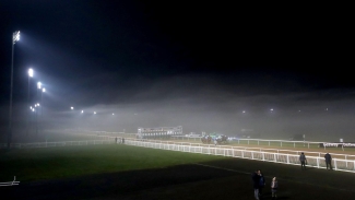 False start chaos at Wolverhampton sees field reduced to two horses