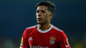Benfica president Costa &#039;will not cry&#039; for Fernandez after World Cup winner forced Chelsea move
