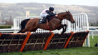 De Bromhead favouring Aintree for Bob Olinger