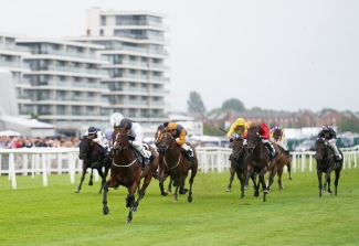 Al Aasy bounces back in style at Newbury