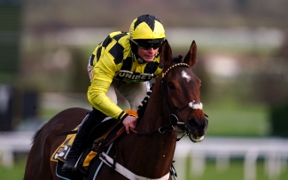 Triumph second Kargese bids for Aintree consolation