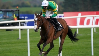 A Dream To Share ruled out of eagerly-awaited hurdling bow