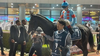 Superstar Equinox sparkles with Japan Cup glory