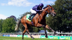 City Of Troy heads O’Brien charge for more Guineas glory