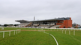 Fairyhouse and Carlisle fit to race