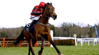 Coral Gold Cup looks wide open as leading fancies hold firm