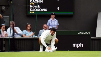 Novak Djokovic eases to opening Wimbledon win after farcical delay