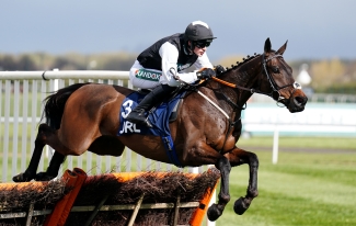 Berlais backed to give another good account in Liverpool Hurdle