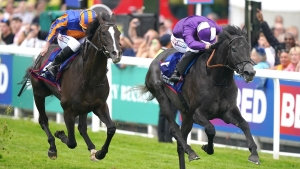 Amo looking to King Of Steel for Ascot breakthrough
