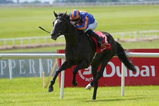 City Of Troy pleases in Leopardstown spin ahead of Classic campaign