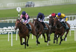 Varian backing Steel to show his mettle in Champion Stakes