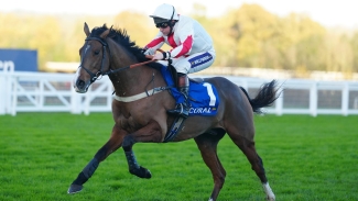 Goshen and Houlihan going for Coral Hurdle gold