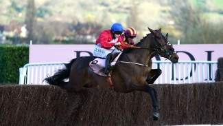 A Plus Tard pencilled in for Savills Chase return