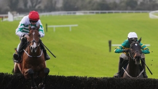 American Mike too strong for Fact To File at Navan