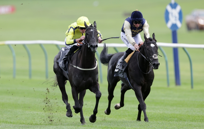 Diamond sparkles with Listed victory at Ayr