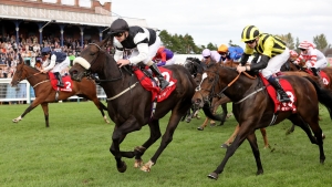 Significantly strikes Gold at Ayr