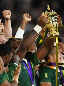 Rugby World Cup 2023 in numbers