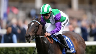 Fellowes enthused by likely Ascot going for Vadream