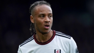 Bobby De Cordova-Reid stunner sees Fulham beat Rotherham in FA Cup