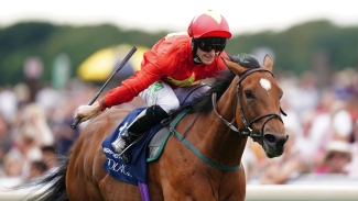 Overseas options set to come under the microscope for Highfield Princess