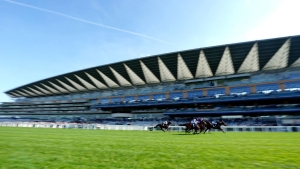 British Horseracing Authority refuses to give in to demands of activists