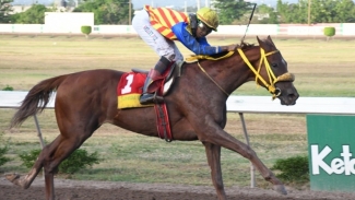 The colt Blue Vinyl with Raddesh Roman aboard on route to an 11-length win in the Jamaica 2000 Guineas at Caymanas Park on Sunday, June 5, 2022. 
