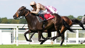 Heredia posied to be added to field for Sun Chariot