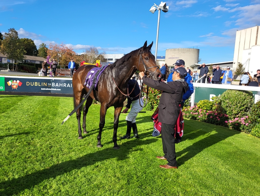 Mutasarref keeps up the good work for Lyons in Leopardstown feature