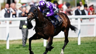Sprinting star Shaquille retired to stud