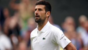 Djokovic&#039;s Wimbledon defeat does not mark changing of the guard, says Bartoli