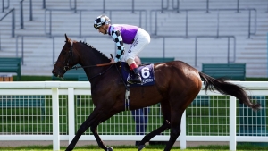 El Habeeb connections have reason for cautious optimism in Gold Cup