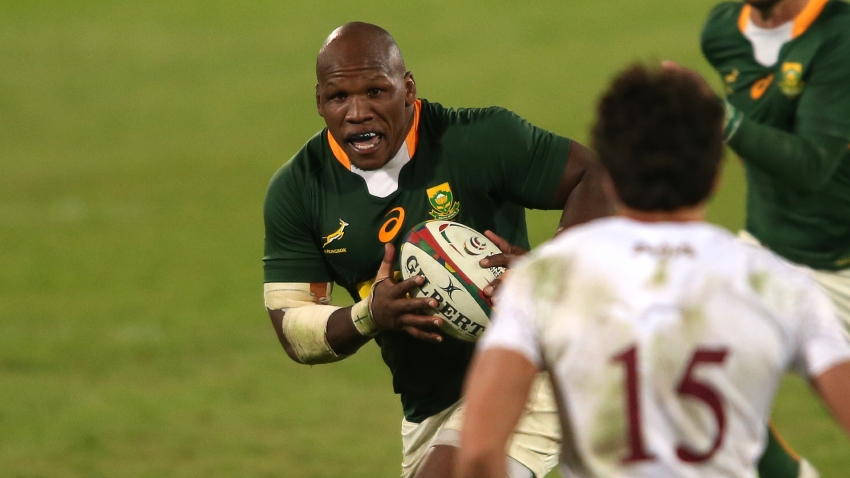 South Africa welcome back Mbonambi, Ntubeni and Du Preez ahead of Lions series