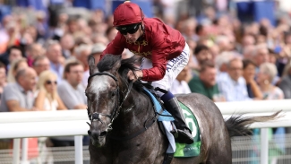 Roaring Lion legacy on display at Epsom
