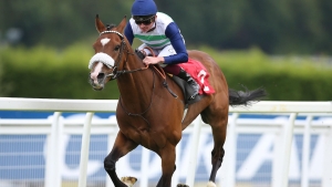 Coltrane remains on course for Gold Cup challenge