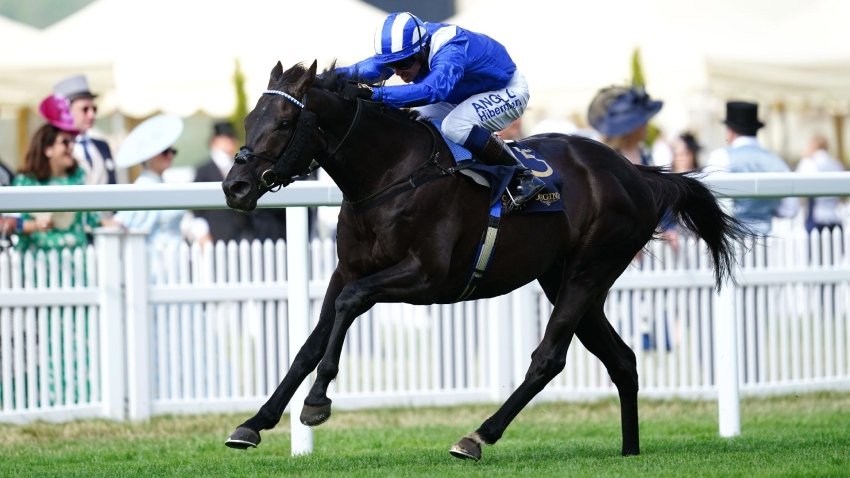Mostahdaf will stand in Newmarket after final start in Breeders’ Cup Turf