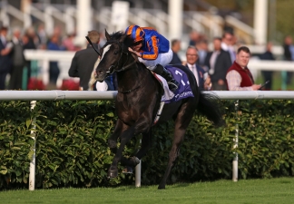 ‘Collector’s item’ Auguste Rodin aiming to set the record straight at Epsom