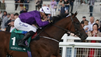 Connections thinking of direct Guineas route with Bucanero Fuerte